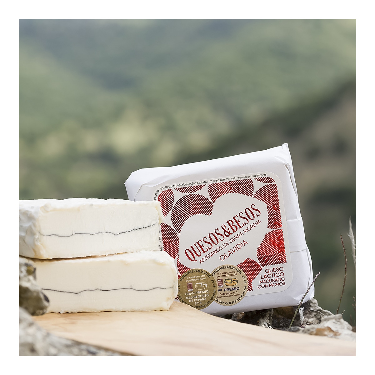 QUESO CABRA OLAVIDIA ''QUESOS Y BESOS''