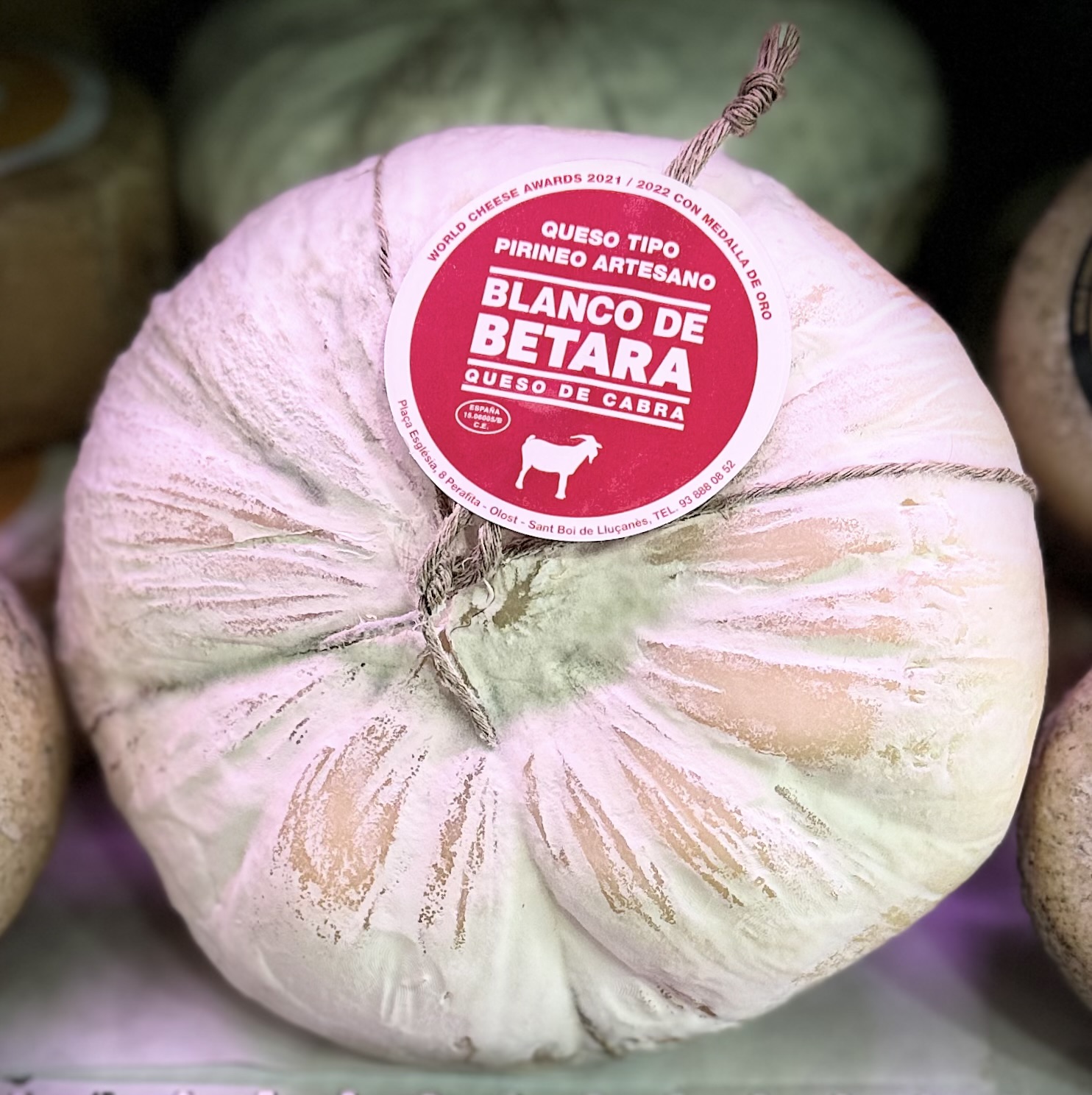 QUESO CABRA BLANCO BETARA