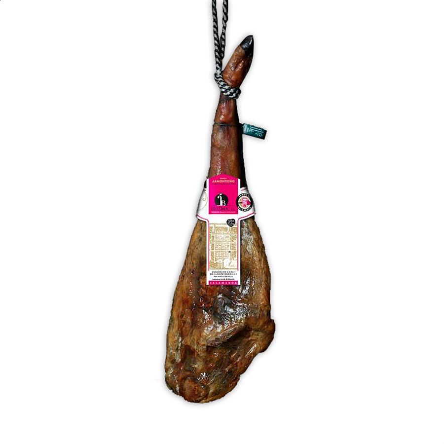 JAMÓN CEBO CAMPO 50% IBÉRICO IBISMA